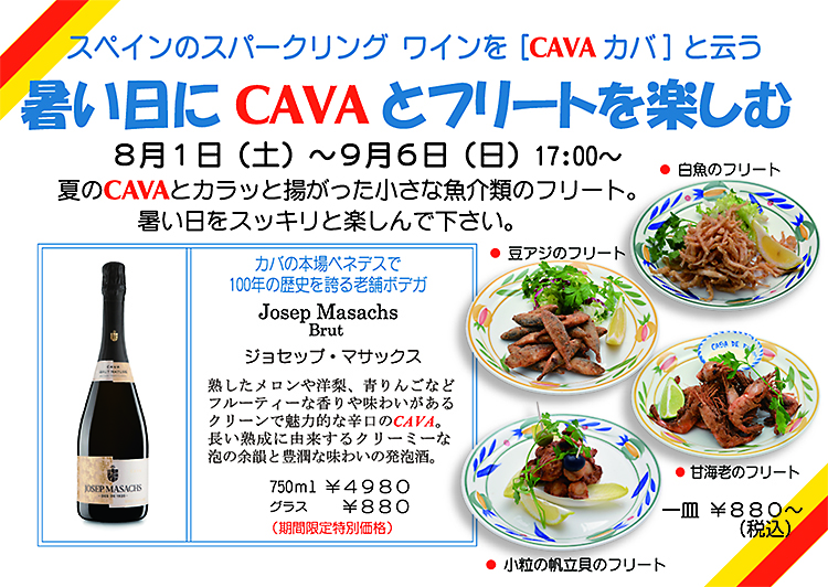 暑い日にＣＡＶＡとフリートを楽しむ